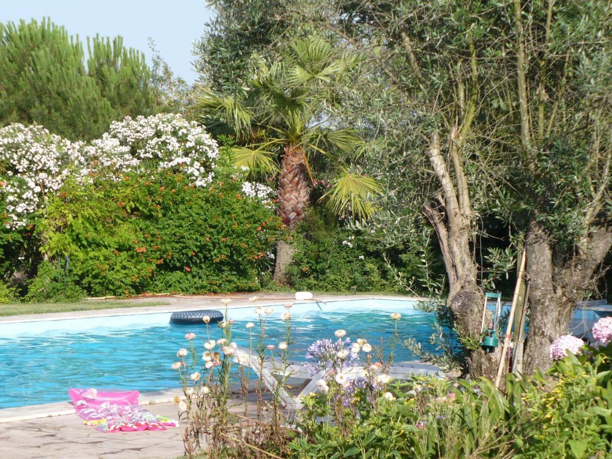 Inviting Holiday Home In Montemor O Novo With Pool Exterior photo